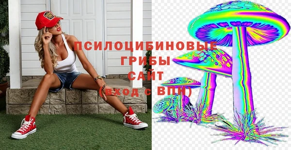 стафф Алексин