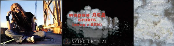 стафф Алексин