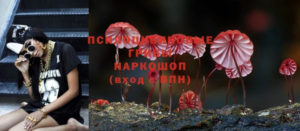 стафф Алексин